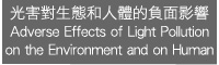 `ͺAMH骺tvT Adverse Effects of Light Pollution on the Environment and on Human